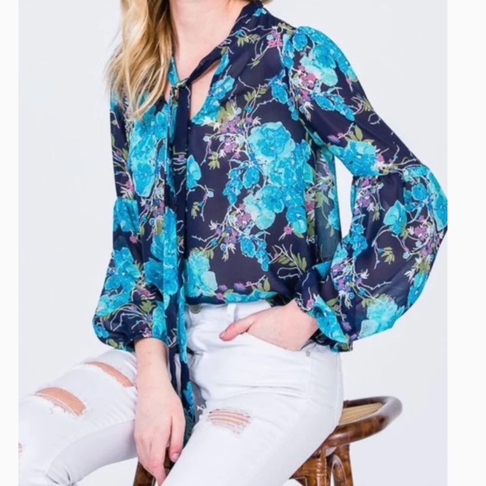 NWOT Red Lolly Blue Dreams blouse